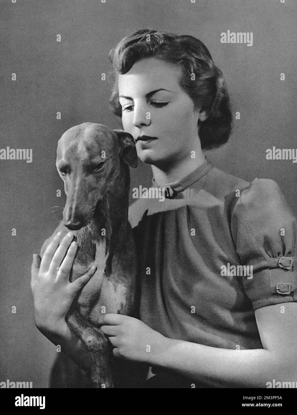 Deborah Mitford (1920-2014), later Duchess of Devonshire, pictured in 1939, a year after her coming-out, with her dog, Studley.  The youngest of the infamous six Mitford sisters, daughters of Lord and Lady Redesdale.       Date: 1939 Stock Photo