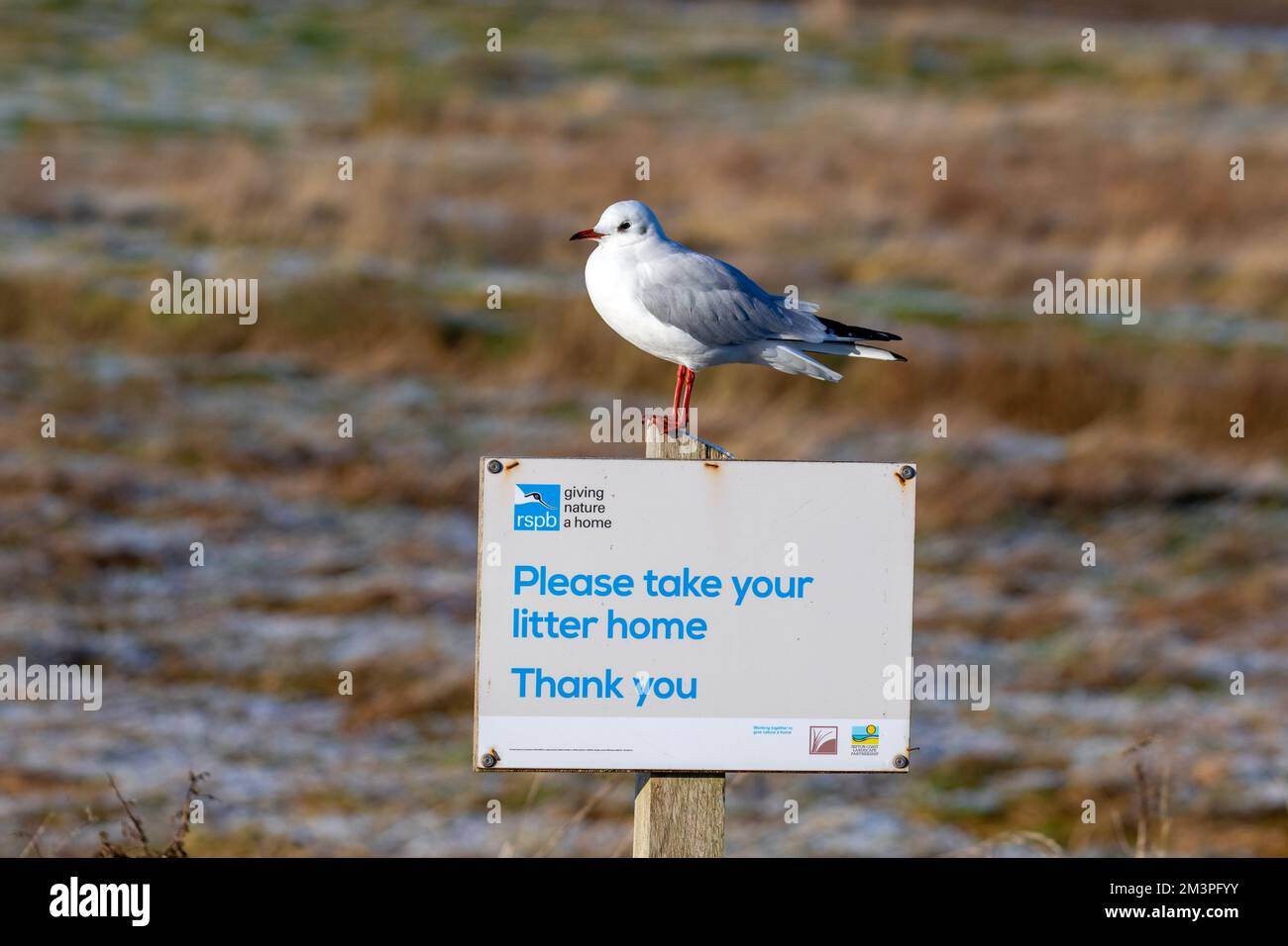 'Please Take Your Litter Home' RSPB sign at Marshside Nature Reserve in Southport UK Stock Photo