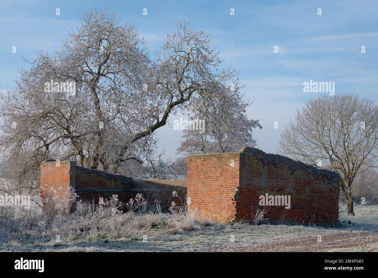 House and farm buildings in West Bergholt in Winter, December. Hoar frost on buildings and trees. Feathery frost. Old ruins. Stock Photo