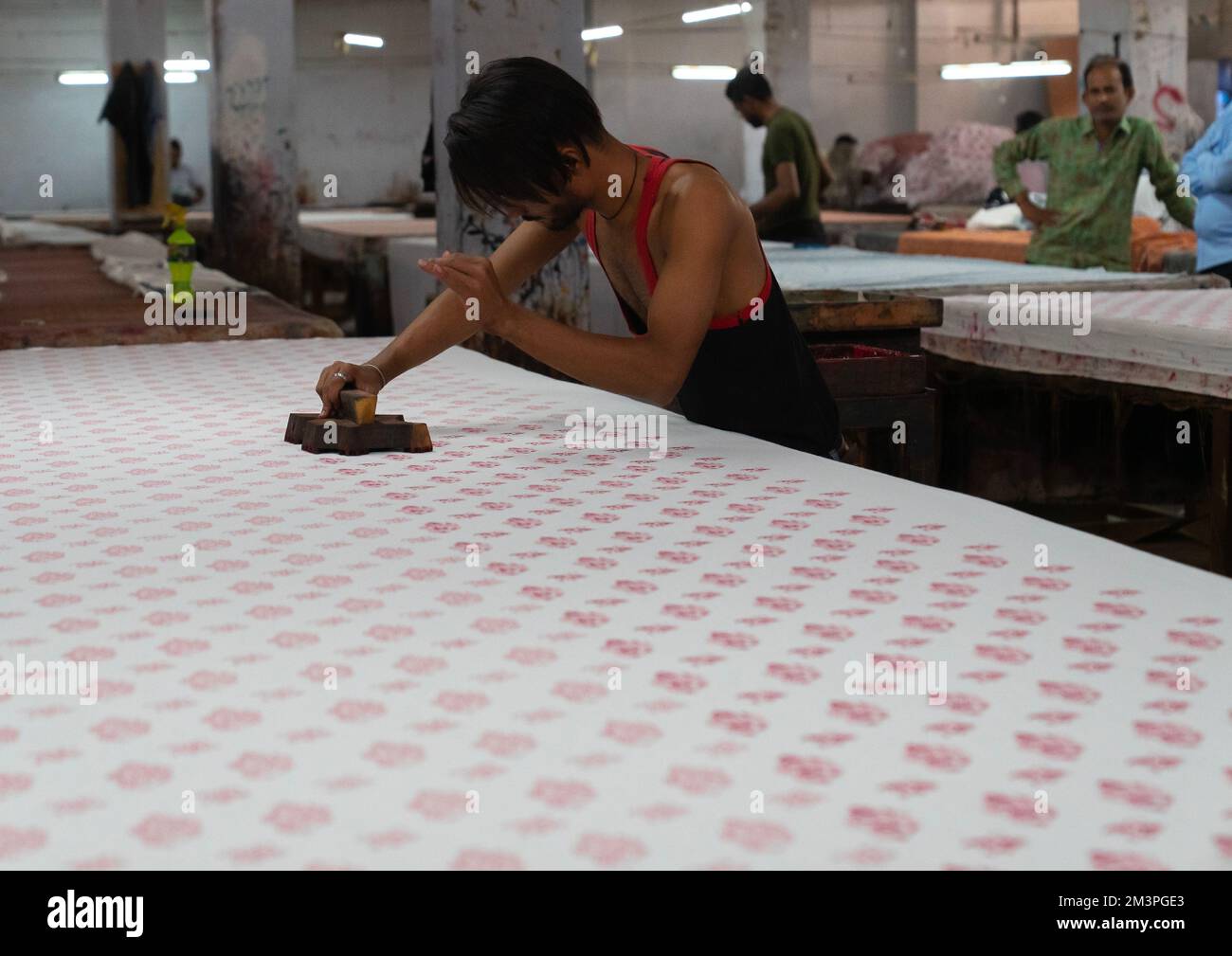 Block printing Rajasthan, Jaipur, India Stock Photo Alamy