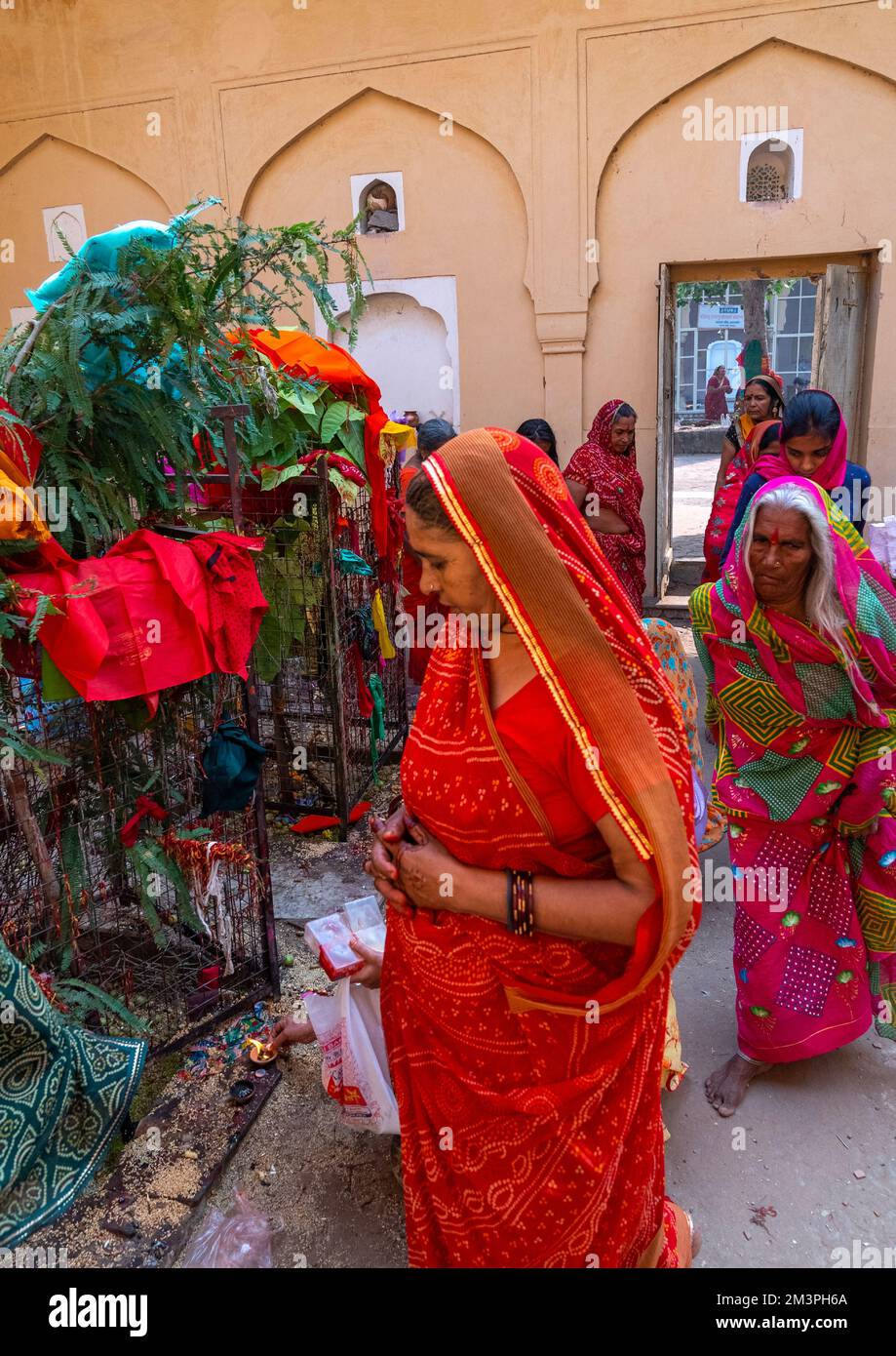 Indian women making offerings in Galtaji temple, Rajasthan, Jaipur, India Stock Photo