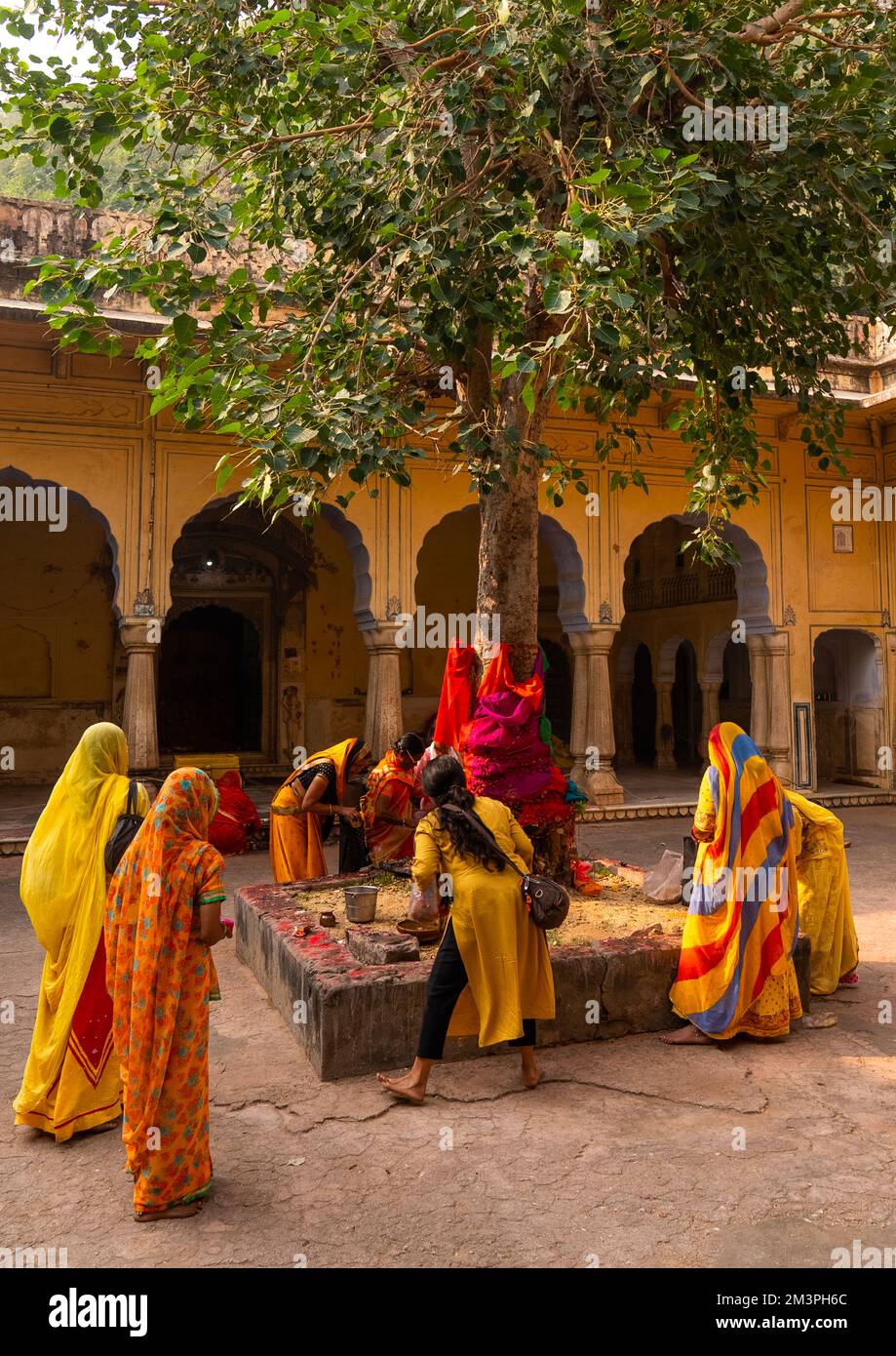 Indian pilgrims making offerings in Galtaji temple, Rajasthan, Jaipur, India Stock Photo