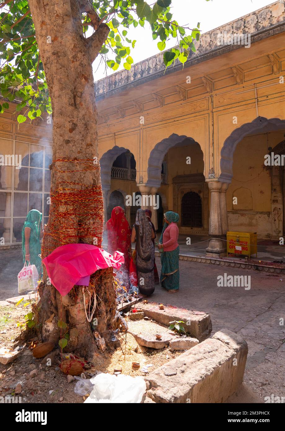 Rajasthani women praying in Galtaji temple aka monkey temple, Rajasthan, Jaipur, India Stock Photo