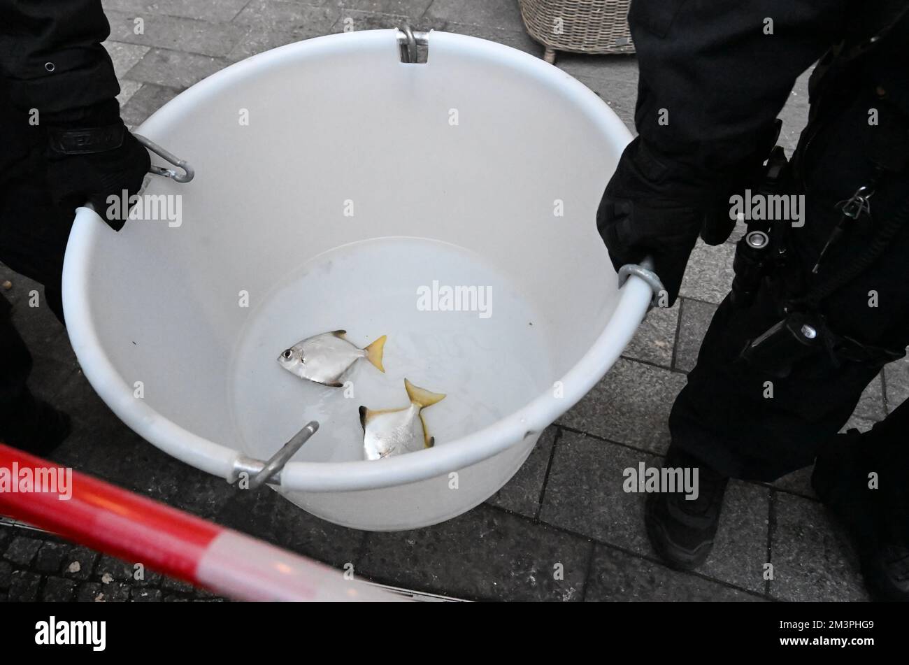 Broken fish tank hires stock photography and images Alamy