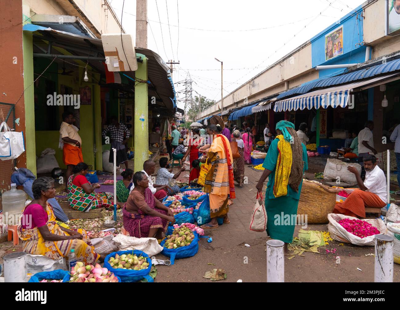 Indian people in the flower market, Tamil Nadu, Madurai, India Stock Photo Alamy
