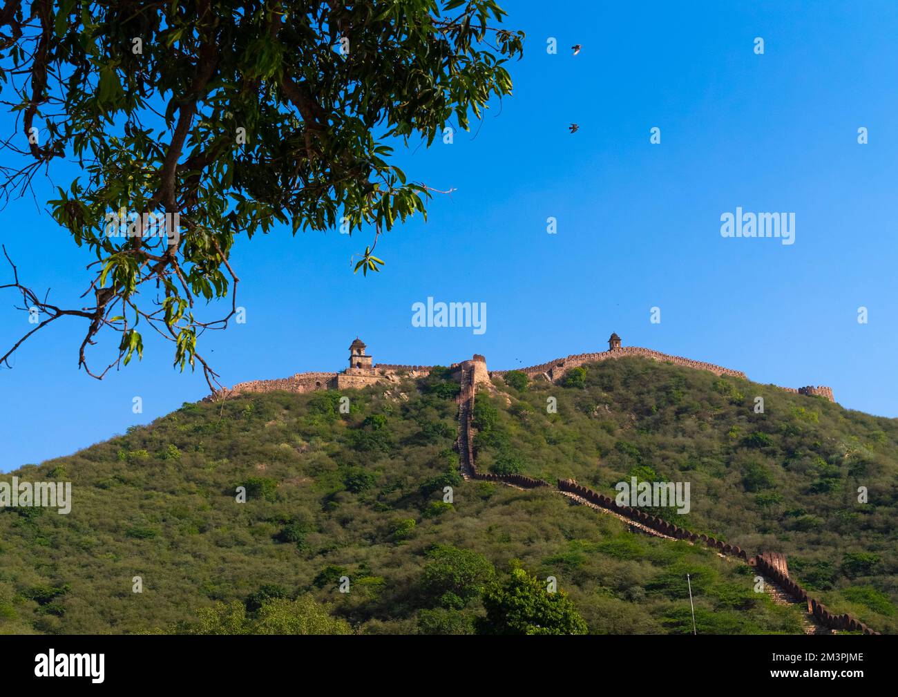 The long wall surrounding Amber fort, Rajasthan, Amer, India Stock Photo