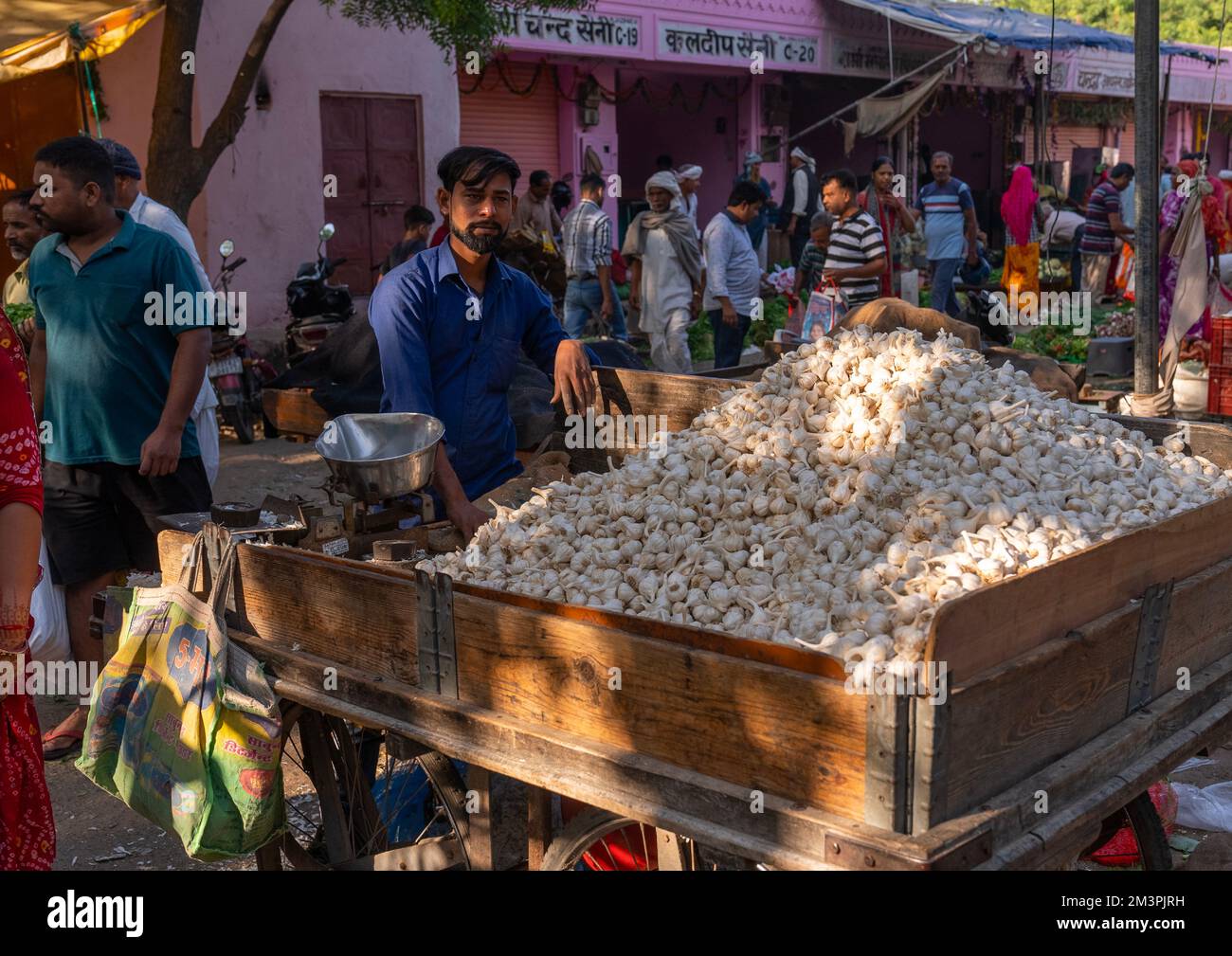 Garlic seller in Vegetable Market, Rajasthan, Jaipur, India Stock Photo