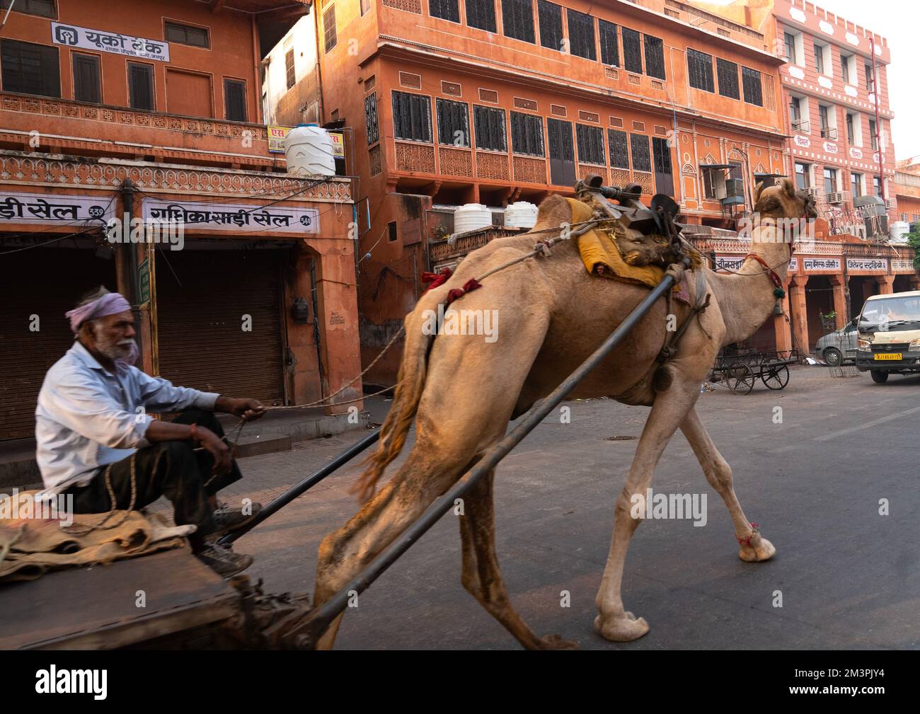 Indian man on a camel cart in the streets, Rajasthan, Jaipur, India Stock Photo