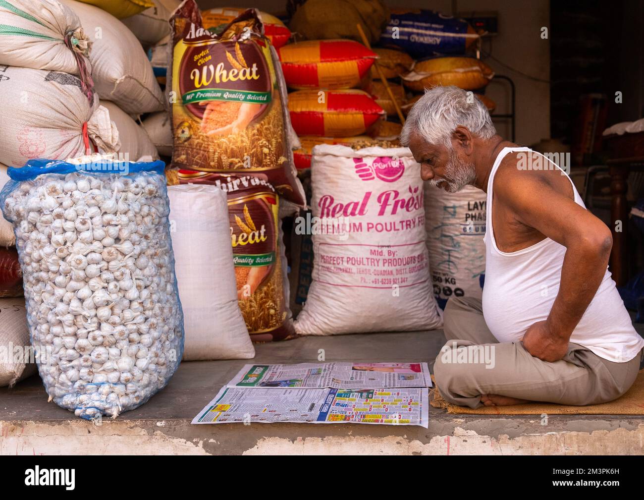 Old indian man reading newspaper in his shop, Rajasthan, Ramgarh Shekhawati, India Stock Photo