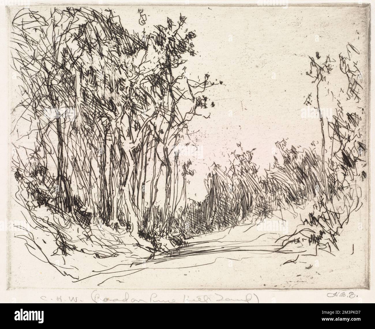 Land trees new england road hi-res stock photography and images - Alamy