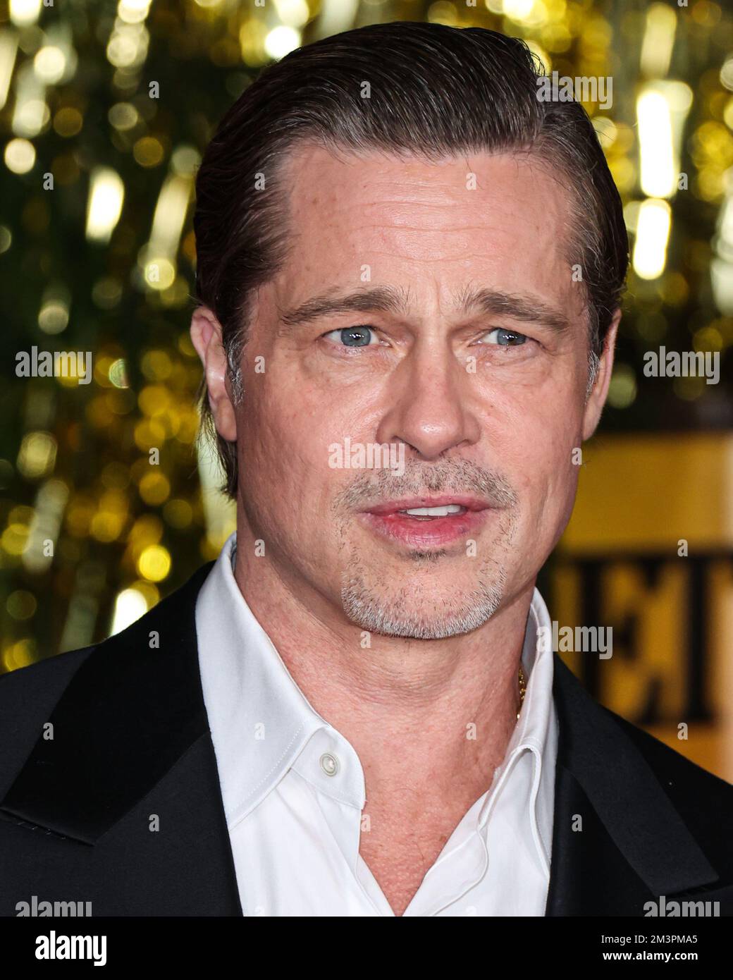 LOS ANGELES, CALIFORNIA, USA DECEMBER 15 American actor Brad Pitt