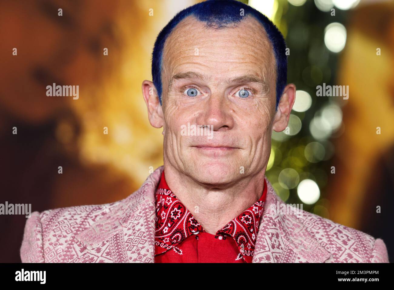 LOS ANGELES, CALIFORNIA, USA - DECEMBER 15: Australian-American ...