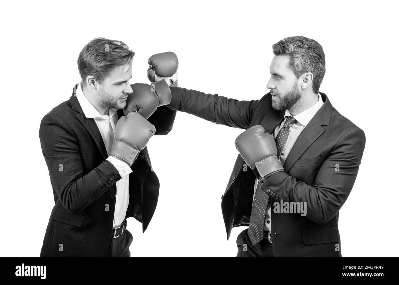 two business men in boxing gloves punching for leadership isolated on