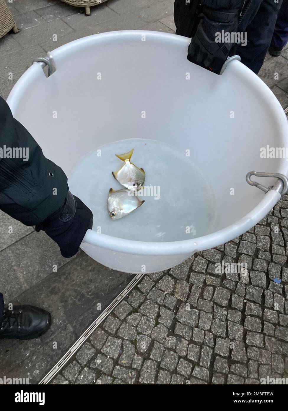 Broken fish tank hires stock photography and images Alamy