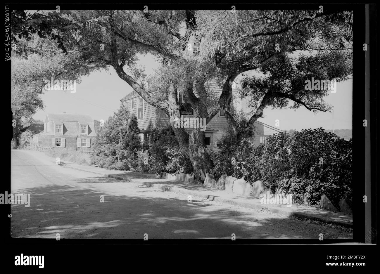 Rockport, Mass. , Dwellings, Trees. Samuel Chamberlain Photograph ...