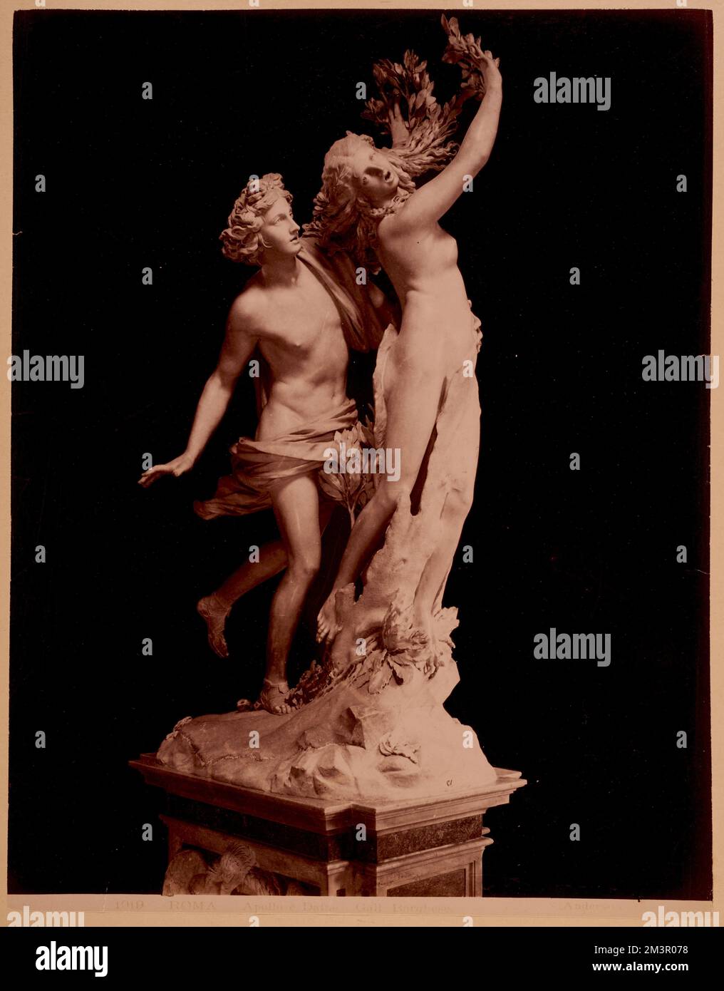 Apollo Nymph Roma - Apollo e Dafne - Gall. Borghese , Sculpture, Gods, Goddesses ...