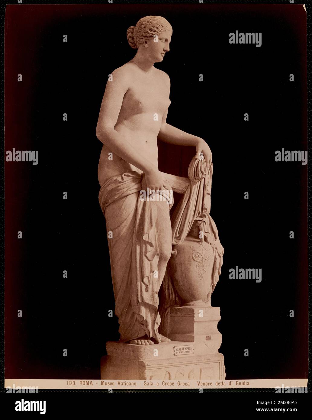 Roma - Museo Vaticano - Sala a croce Greca - Venere detta di Gnidia , Antiquities, Sculpture, Goddesses, Venus Roman deity. Nicholas Catsimpoolas Collection Stock Photo