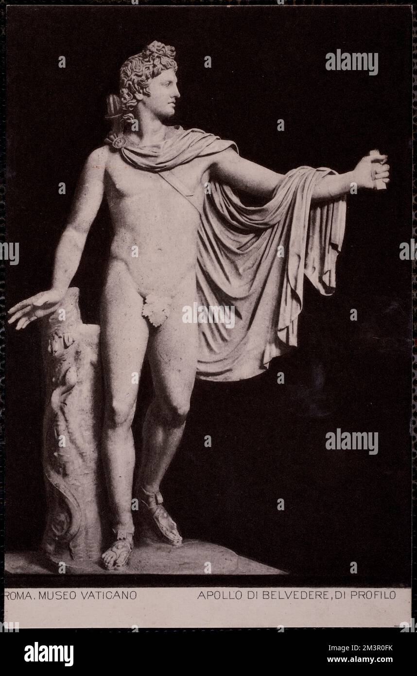 Roma. Museo Vaticano. Apollo di Belvedere, di profilo , Sculpture, Antiquities, Gods, Apollo Deity. Nicholas Catsimpoolas Collection Stock Photo