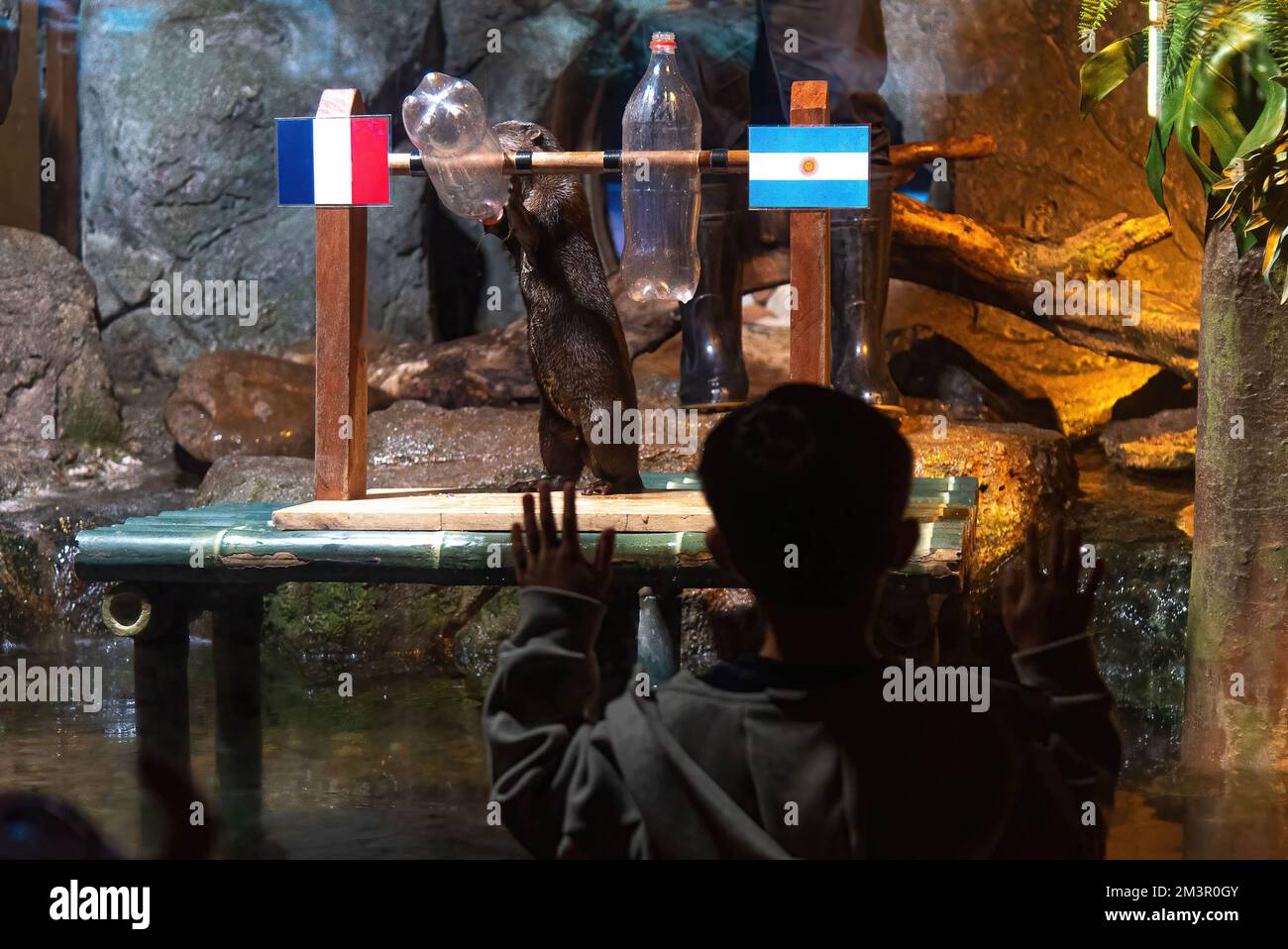A kid seen watching an otter eat fish from a bottle during an attempt