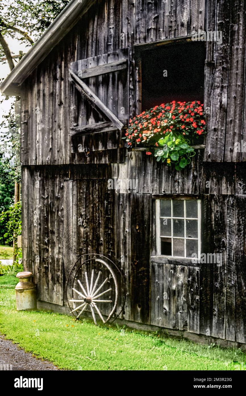 Barn with flowers in the hayloft Stock Photo - Alamy