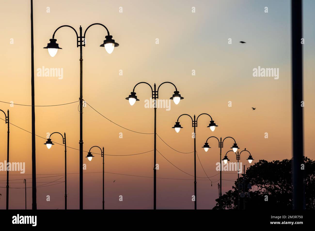 Colva Street Lights Goa, India Stock Photo Alamy