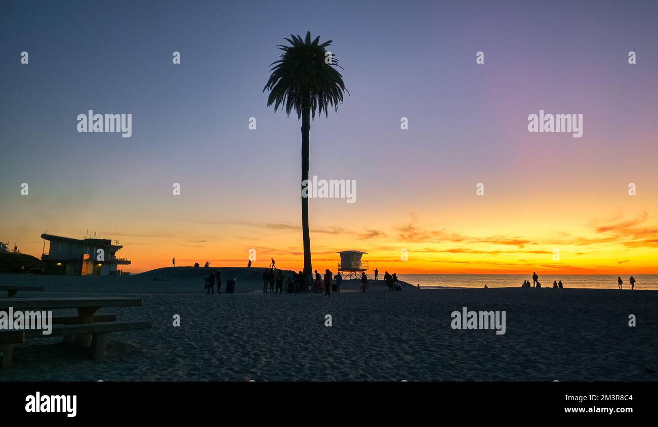 Moonlight Beach, Encinitas California. Silhouette of palm tree and ...