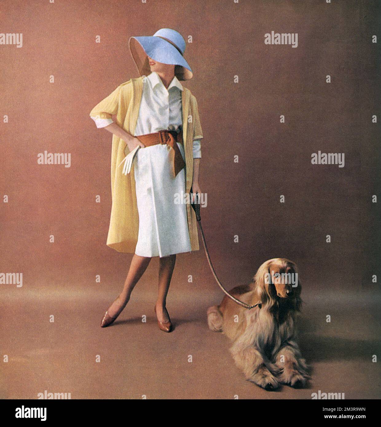 An elegant outfit comprising of a white silk shirtwaister dress belted with tan suede designed by Michael of Carlos Place, worn with a coat in a pale honey colour made of Seker's open basket weave wool edged with petersham.  Mme. Brill made the white leather hat which was also designed by Michael.  Where the docile Afghan Hound came from is not commented upon.     Date: 1959 Stock Photo