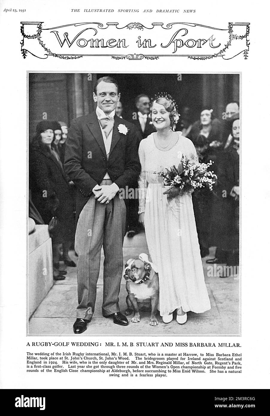The wedding of Irish rugby international Mr I. M. B. Stuart (also a master at Harrow School) and Miss Barbara Ethel Millar, a first-class golfer, at St. John's Church in St. John's Wood in April 1931.  They are attended by a bulldog who wears a ribbon around his neck.         Date: 1931 Stock Photo