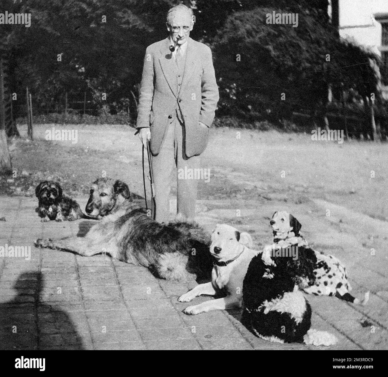 Cecil Aldin, artist of sporting subjects and dogs, pictured with a group of his dogs known as the firm.  Included is Turps, a rough-haired dachshund, Micky, the Irish Wolfhound, Cracker the bull terrier, Bogie the rough-haired terrier and Loopy the dalmatian.     Date: 1931 Stock Photo