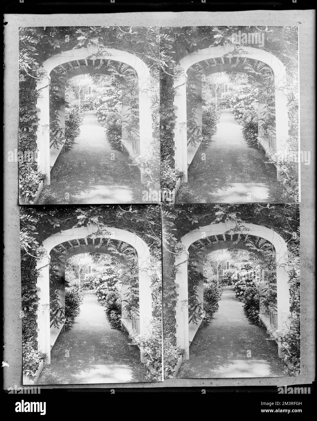 Salem, 314 Essex Street, four views of Osgood arbor and garden , Gardens, Arbors Bowers. Frank Cousins Glass Plate Negatives Collection Stock Photo
