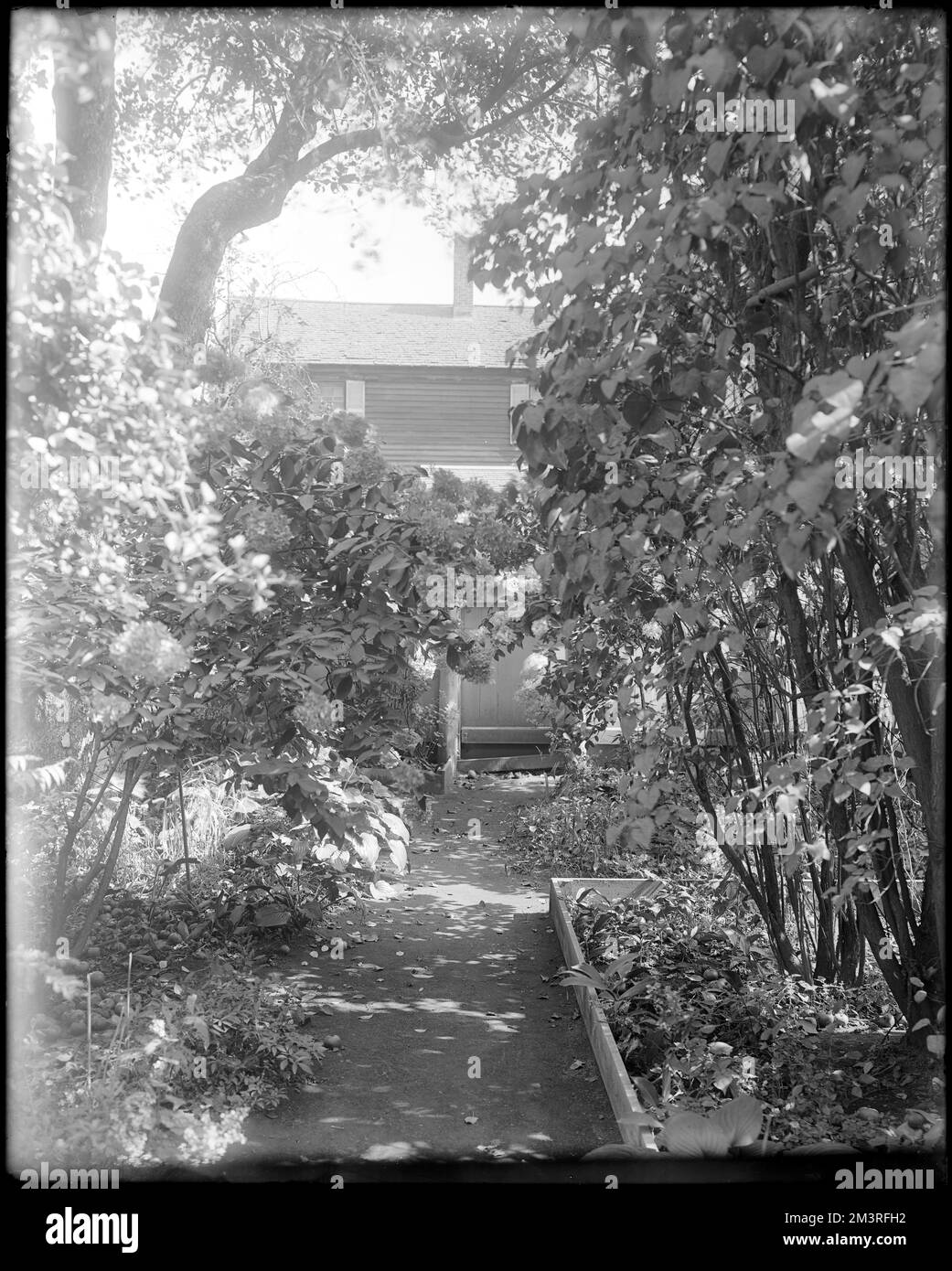 Salem, 314 Essex Street, views, garden, Susan E. Osgood house , Houses
