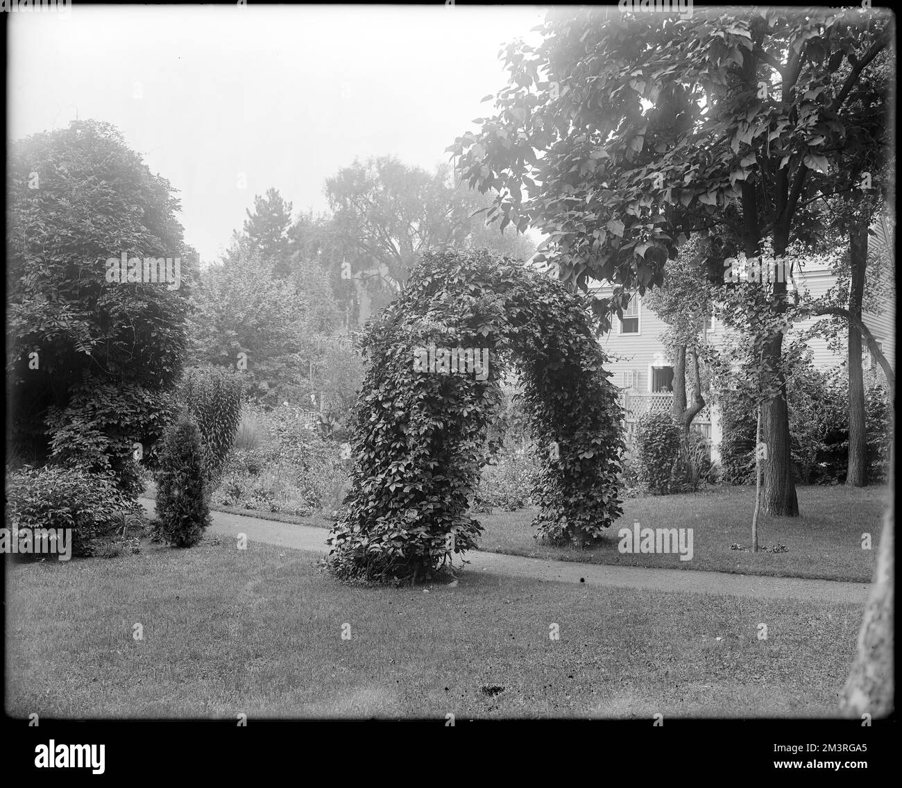 Salem, 365 Essex Street, views, garden of Joseph Cabot house , Houses