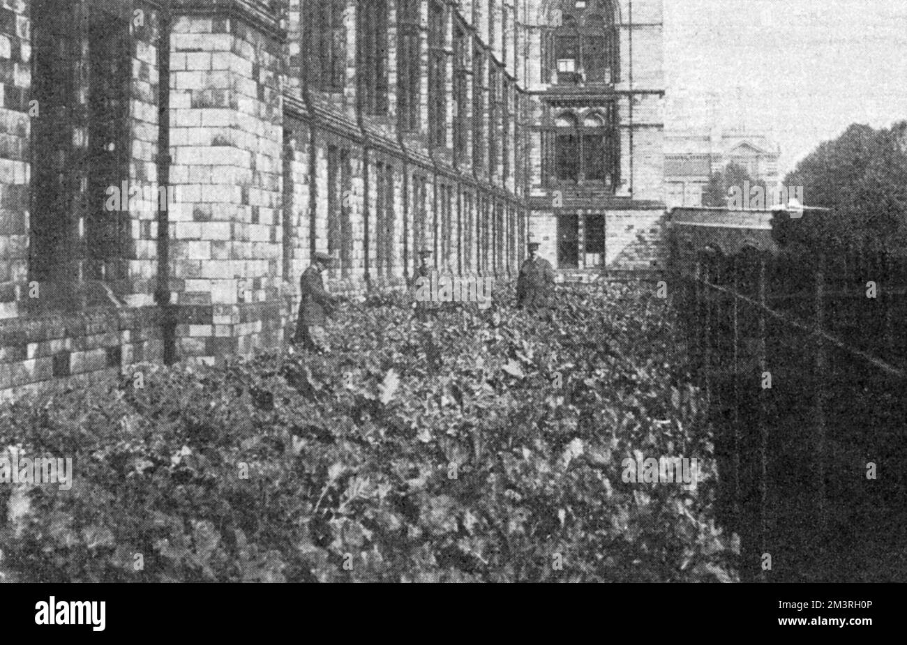 Natural History Museum, WW1 farm Stock Photo
