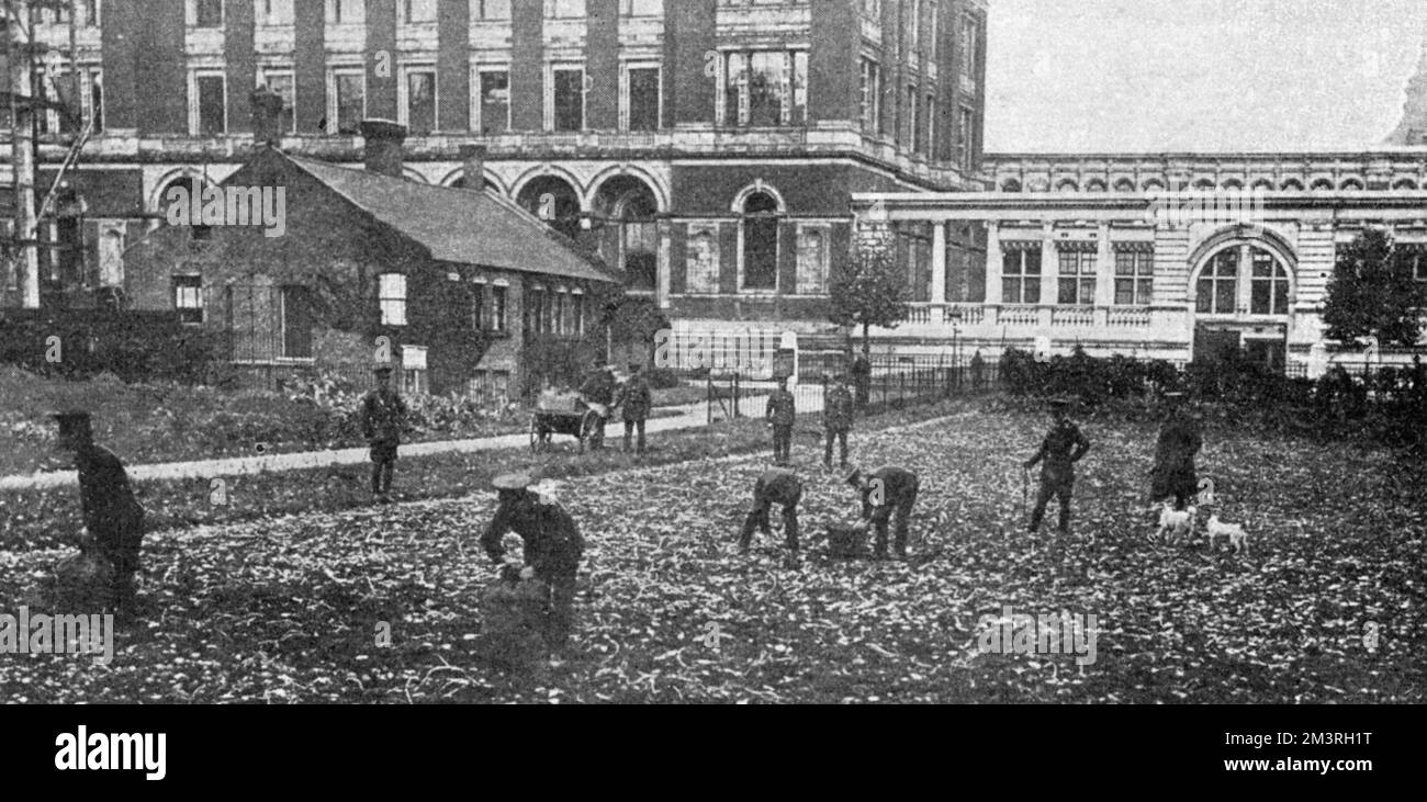 Natural History Museum, WW1 farm Stock Photo