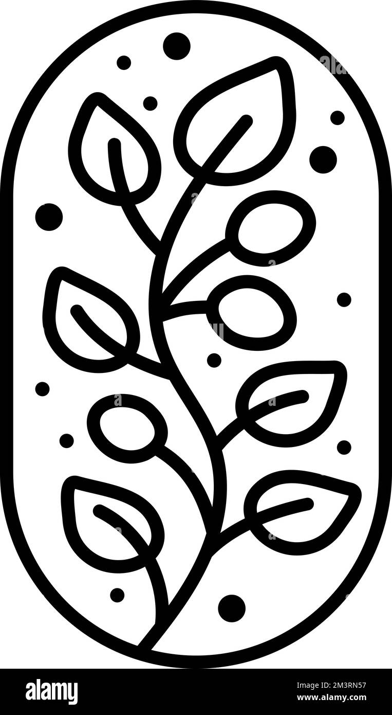 Vector tea leaves branch olives and abstract lines for Cafe or Farm ...