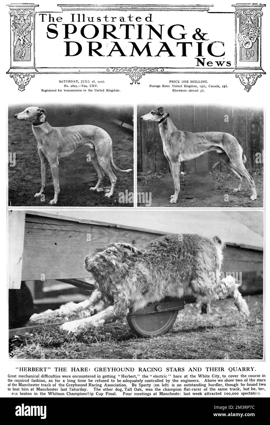Front cover of The Illustrated Sporting and Dramatic News reporting on the new sport of greyhound racing.  Top left photograph shows Be Sporty, an outstanding hurdler and top right shows Tall Oak, a champion flat racer.  Bottom picture shows Herbert, the electric hare at White City stadium, which apparently was experiencing some technical difficulties.  The magazine comments on the rising popularity of the spectator sport noting, &quot;Four meetings at Manchester last week attracted 100,000 spectators.&quot;     Date: 1927 Stock Photo