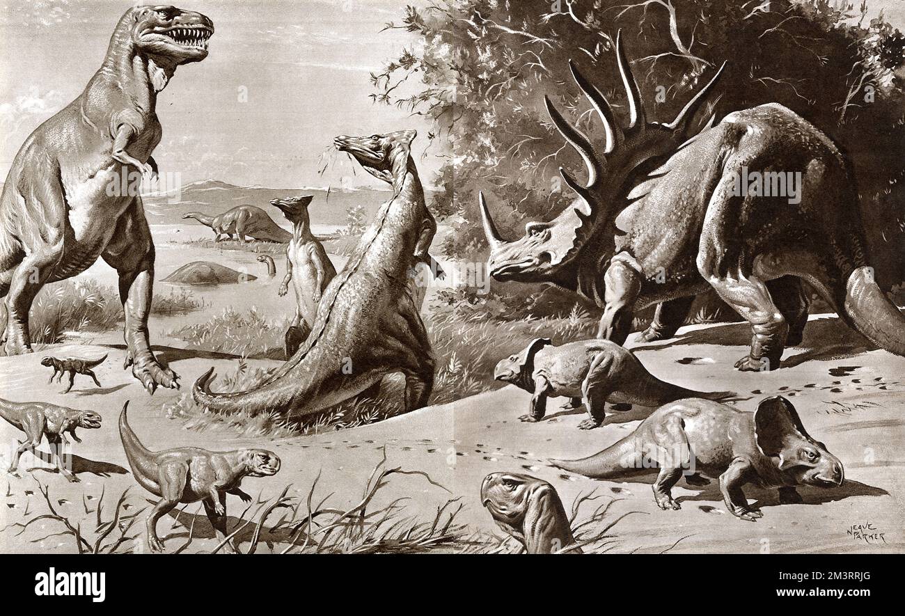 Dinosaurs of the Gobi Desert (Russia) of the Cretaceous Period, which spanned 79 million years from the end of the Jurassic Period 145 million years ago, to the beginning of the Paleogene Period 66 mya.     Date: 120 to 75 Million Years BC Stock Photo