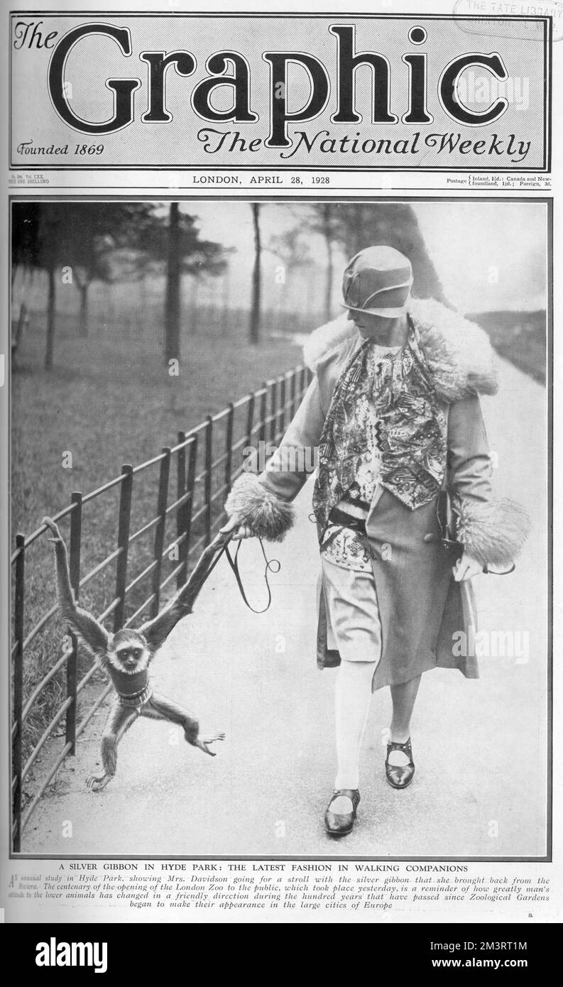 Front cover of The Graphic magazine featuring a photograph of a Mrs Davidson taking her pet silver gibbon for a walk in Hyde Park, brought back from the Riviera.  Unfortunately, the magazine does not divulge the gibbon's name.    1928 Stock Photo