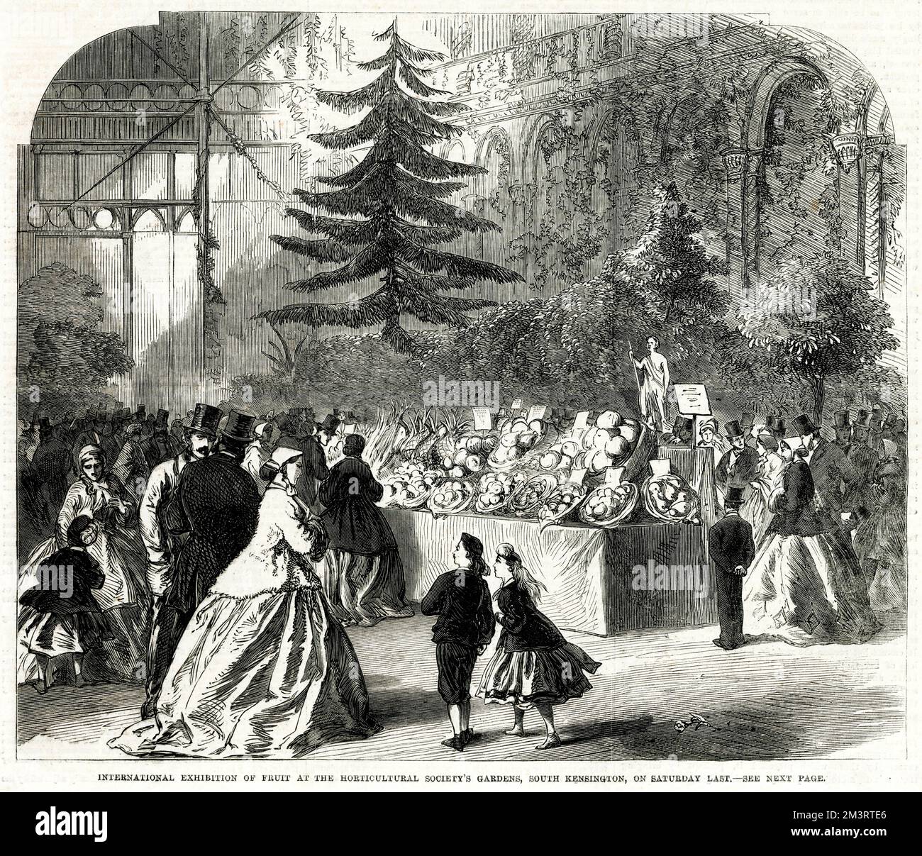 The international exhibition of 1865 hires stock photography and