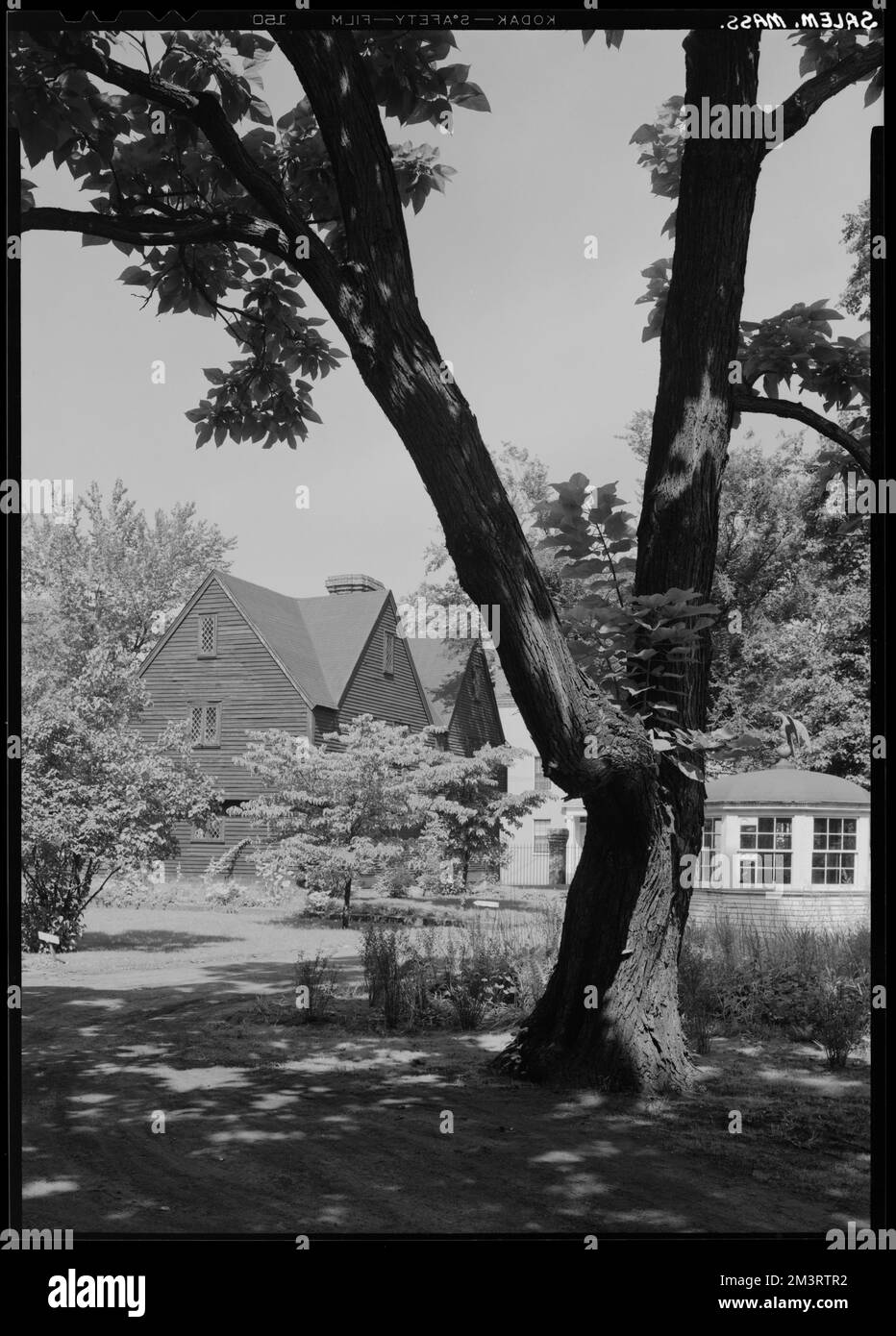 Salem, Ward house , Architecture, Dwellings, Trees. Samuel Chamberlain Photograph Negatives Collection Stock Photo