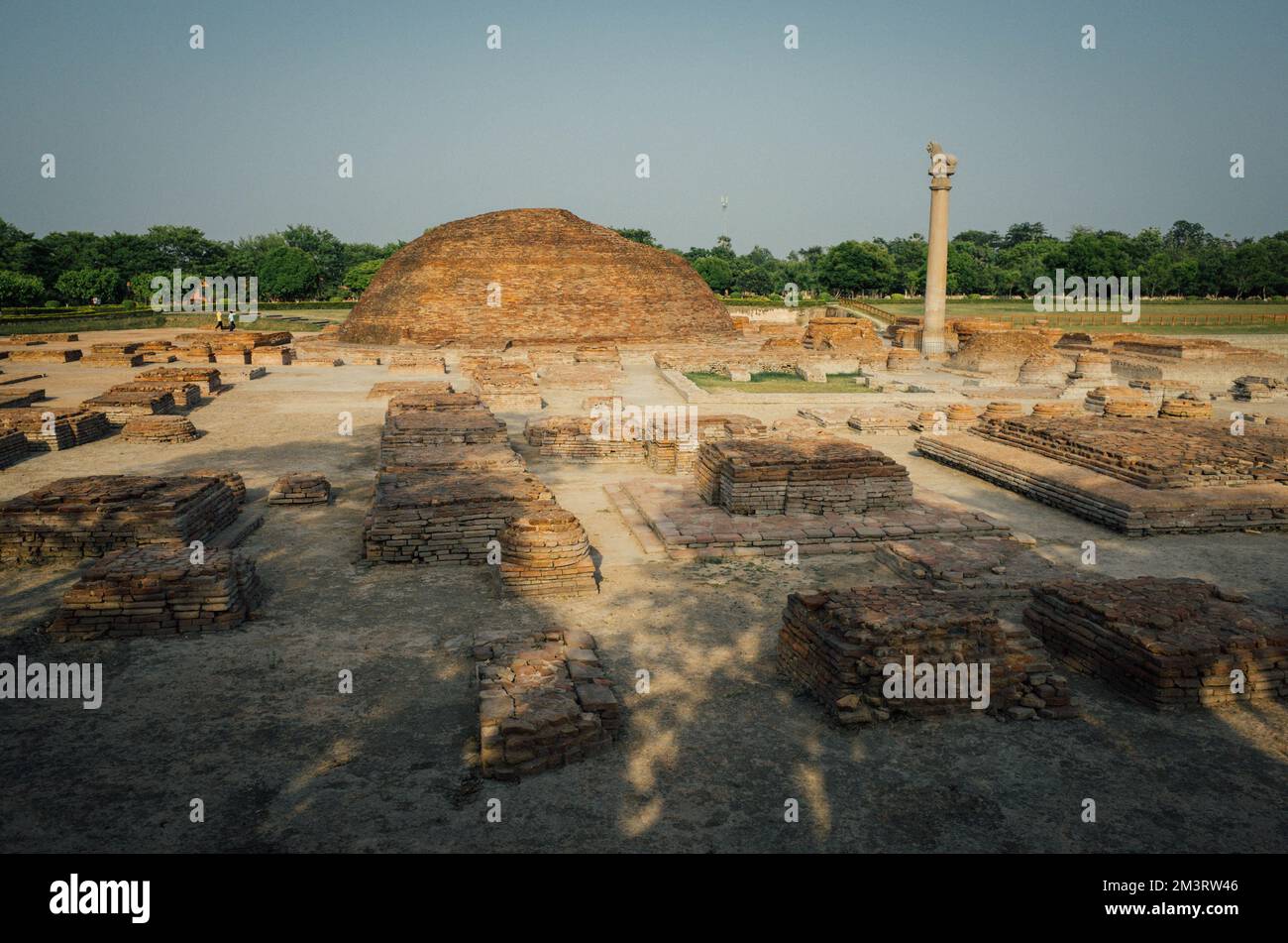 Ashokan Lion Pillar and Stupa Stock Photo Alamy