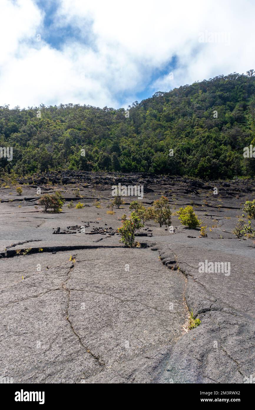Volcanoes national park Stock Photo - Alamy