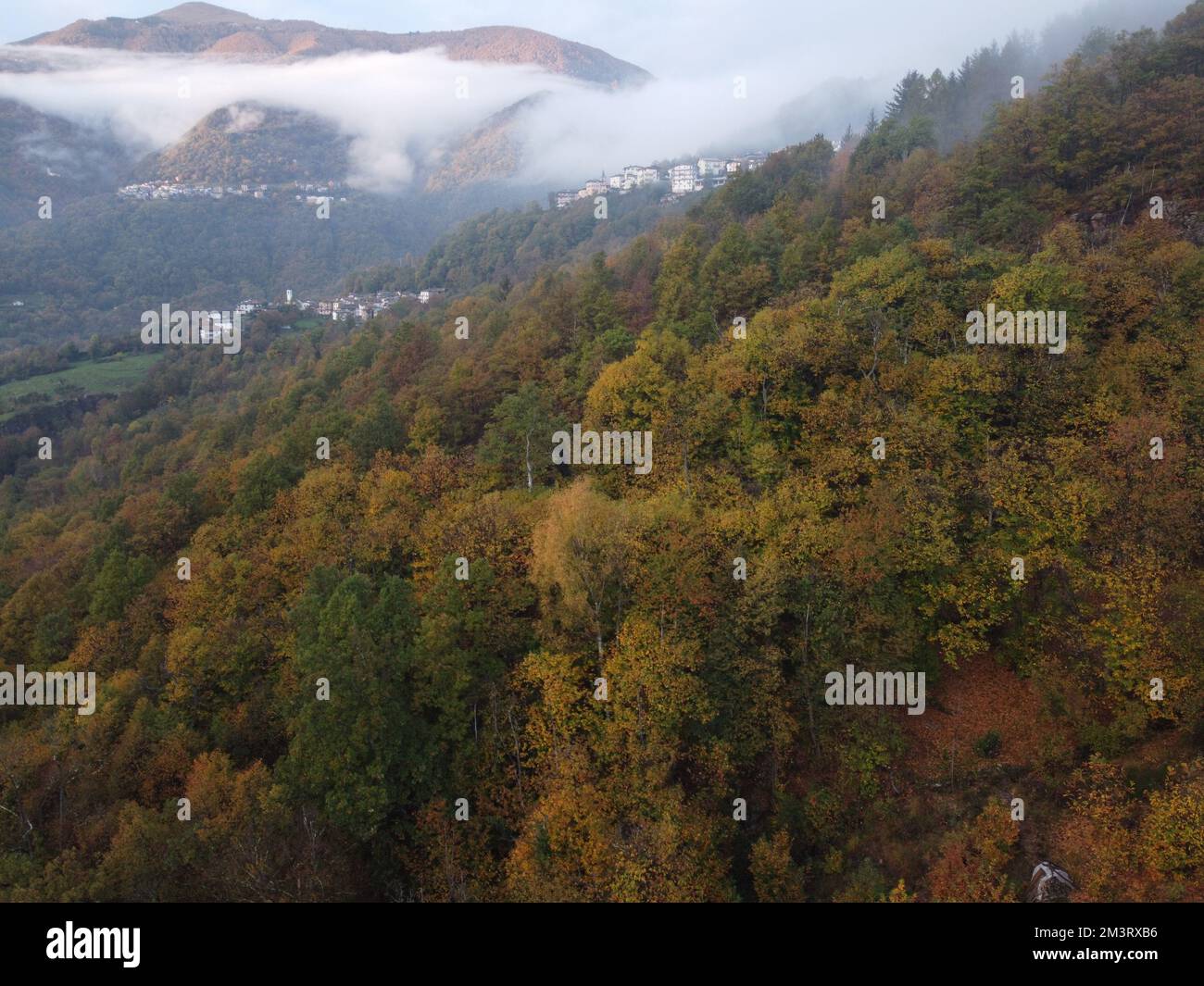 An aerial shot of a dense forest with cloudy mountains in the ...