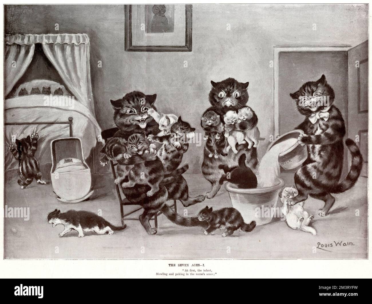 Supplement, The Seven Ages by Louis Wain - One. &quot;At first, the infant, mewling and puking in the nurse's arms.&quot; (Shakespeare) Three adult cats grapple with a large number of unruly kittens, keeping them well supplied with milk.      Date: 1900 Stock Photo