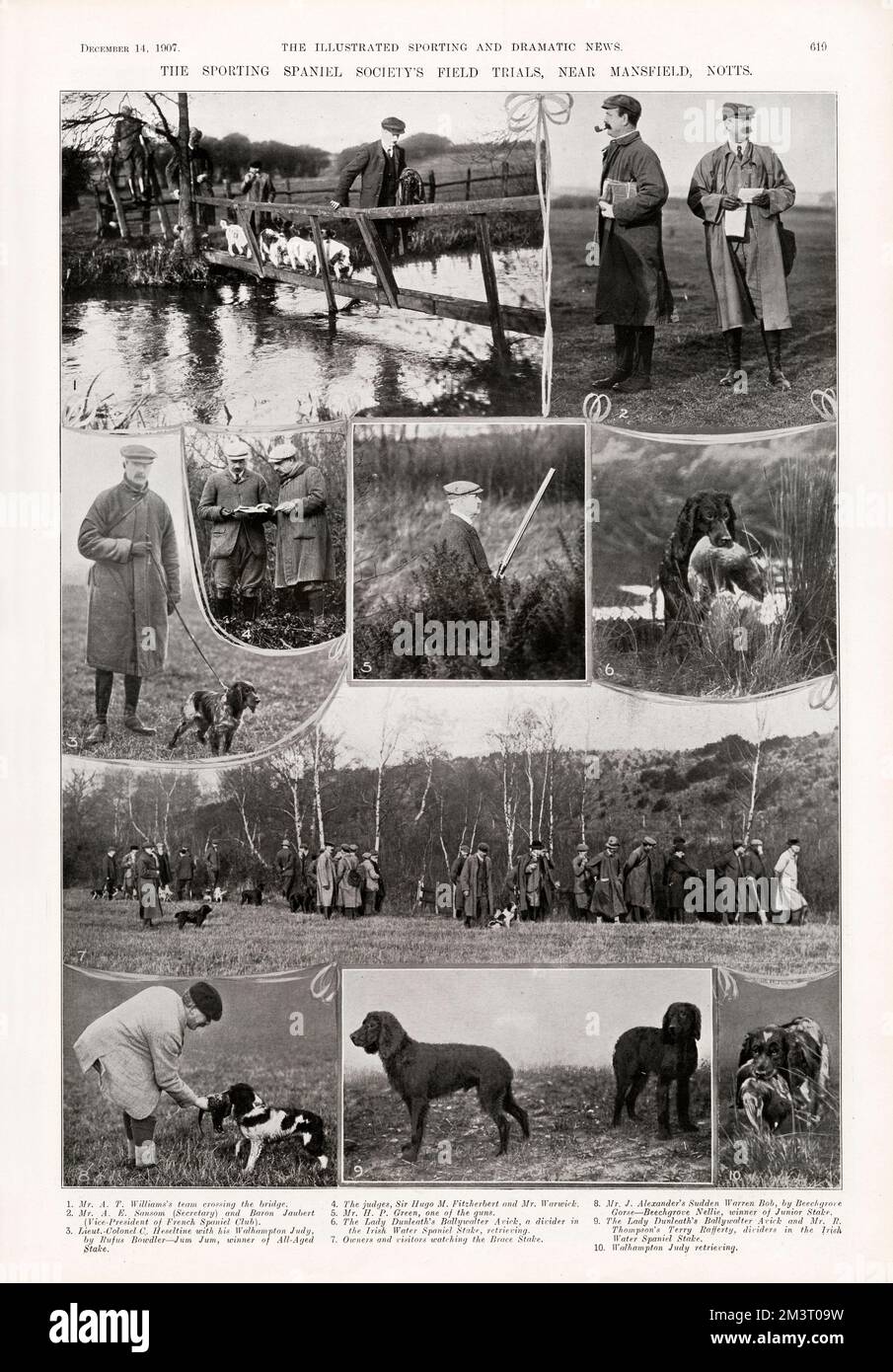 The Sporting Spaniel Society Field Trials near Mansfield, Notts.     Date: 1907 Stock Photo