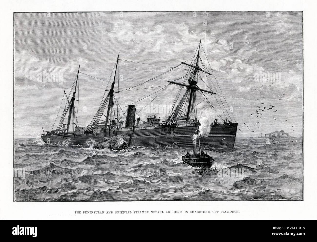 P&O Steamship Nepaul - The Nepaul shown aground on the Shagstone, although she went aground further east. Nepaul was built by Alexander Stephan and Sons, Glasgow, and originally laid down as Theodor Korner for the short-lived German Transatlantic Steam Navigation Line. On 10 December 1890 the Nepaul was inbound from Calcutta when it was wrecked on Shagstone Rock off Plymouth at 19:20 having missed the pilot in thick fog. There were no casualties, and the passengers and specie were taken off the following morning, but most of the cargo was ruined. Stock Photo