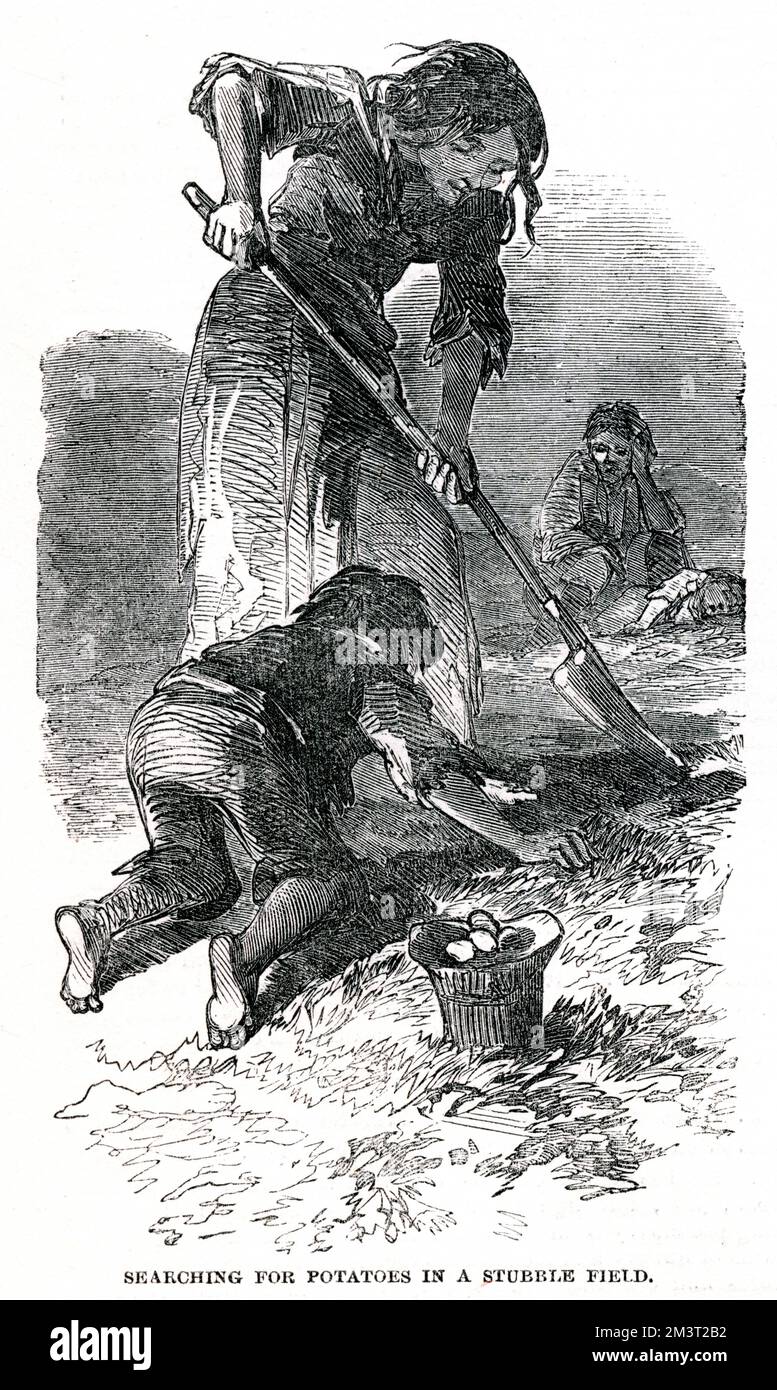 Irish Potato Famine Stock Photo - Alamy