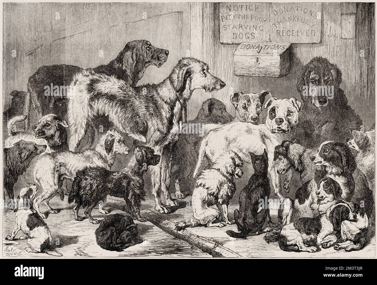 Home for lost and starving dogs, Hollingsworth Street in north London, Islington / Holloway area. This was the first iteration of Battersea Dogs' Home before it moved in 1871 to Battersea, south London. 'The Temporary Home for Lost & Starving Dogs’ as it was first known, was established in 1860 by Ms. Mary Tealby and a committee of animal lovers, in Holloway, North London. Stock Photo