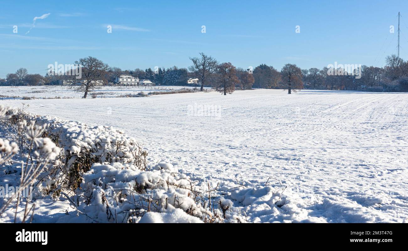 Hatfield, Hertfordshire, England, UK. Stock Photo