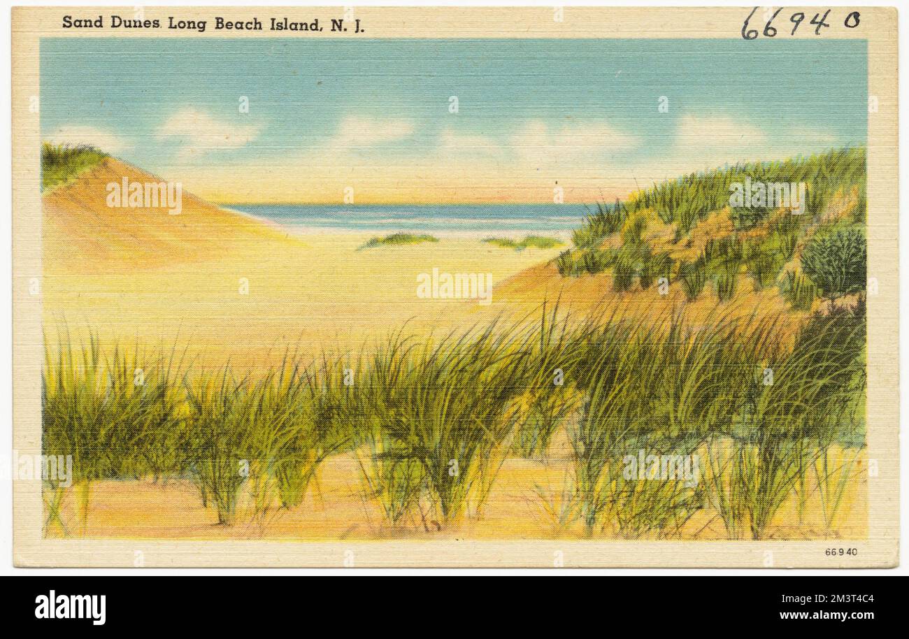 Sand dunes, Long Beach Island, N. J. , Beaches, Tichnor Brothers